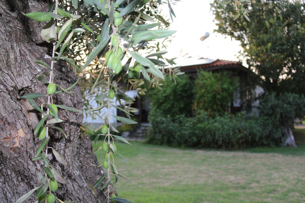 Patroudis House Apartment Skala Rachoni  Exterior photo