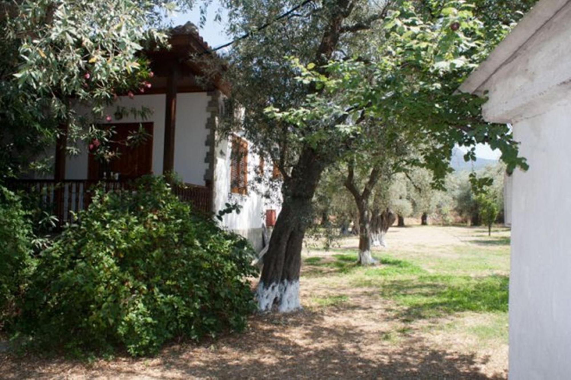 Patroudis House Apartment Skala Rachoni  Exterior photo
