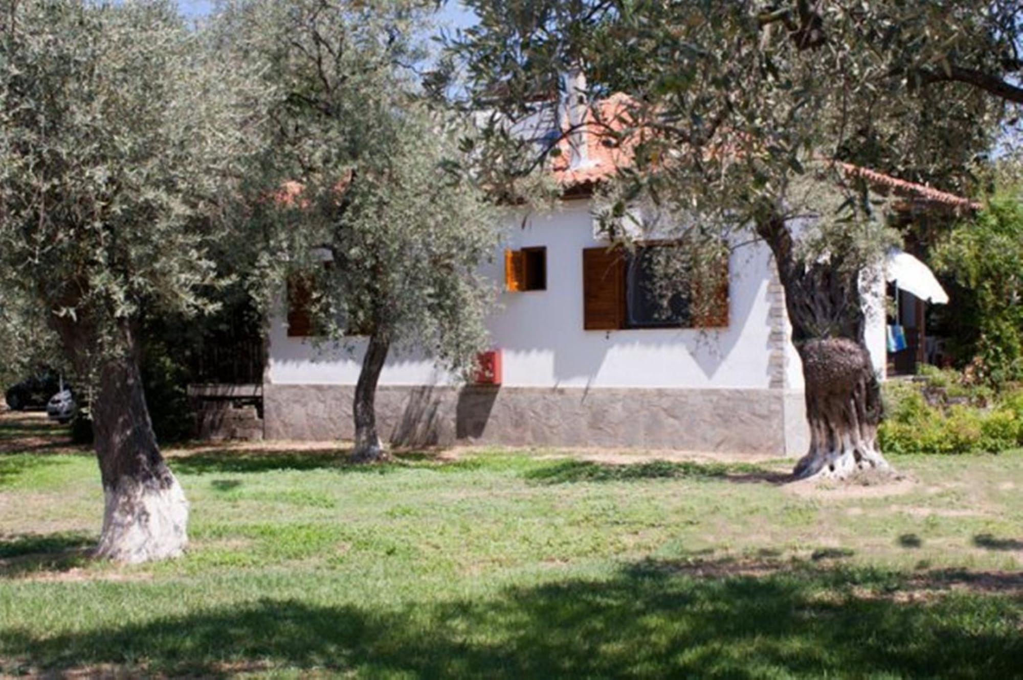 Patroudis House Apartment Skala Rachoni  Exterior photo